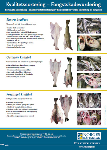 Kvalitetssortering_plakat.jpg